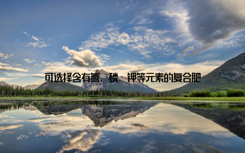 可选择含有氮、磷、钾等元素的复合肥