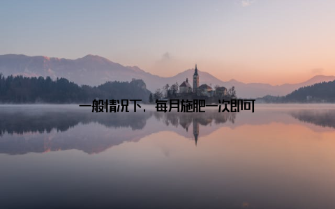 一般情况下, 每月施肥一次即可