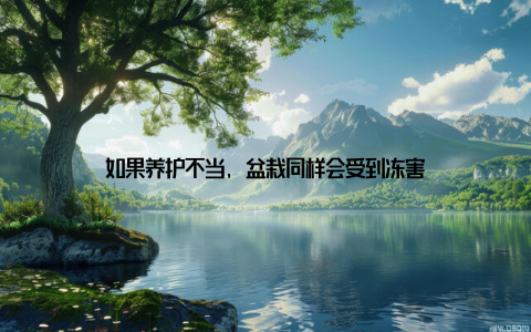 如果养护不当, 盆栽同样会受到冻害