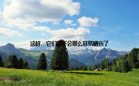 这样, 它们就不会那么容易晒伤了