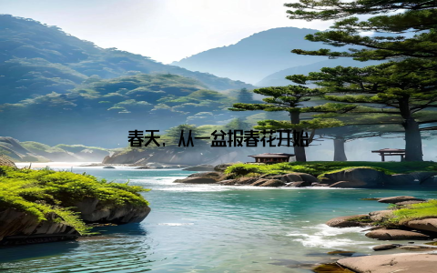 春天, 从一盆报春花开始
