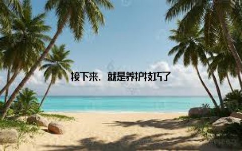 接下来, 就是养护技巧了