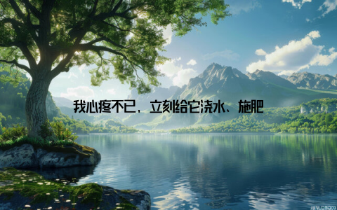 我心疼不已, 立刻给它浇水、施肥