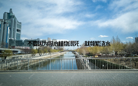 不要因为担心植物渴死, 就频繁浇水