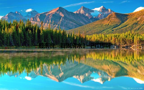 一般来说, 每周浇水1-2次即可