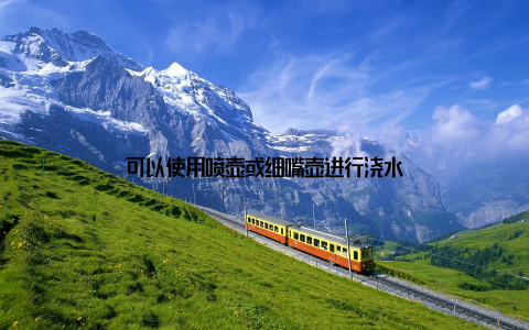 可以使用喷壶或细嘴壶进行浇水