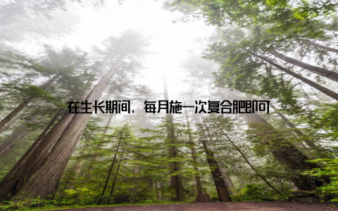 在生长期间, 每月施一次复合肥即可