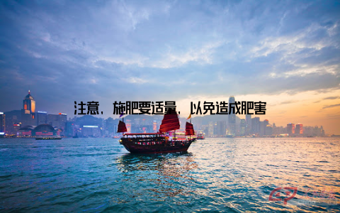 注意, 施肥要适量, 以免造成肥害