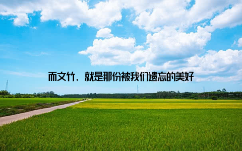 而文竹, 就是那份被我们遗忘的美好