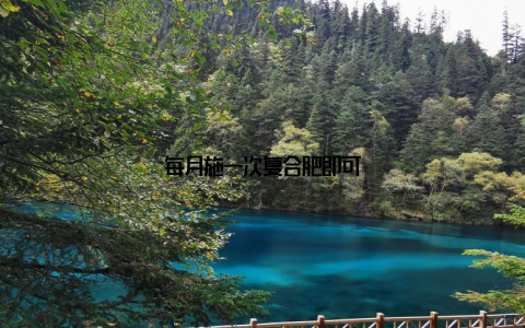 每月施一次复合肥即可