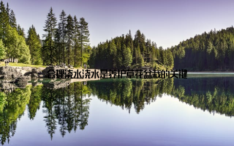 合理浇水浇水是养护草花盆栽的关键