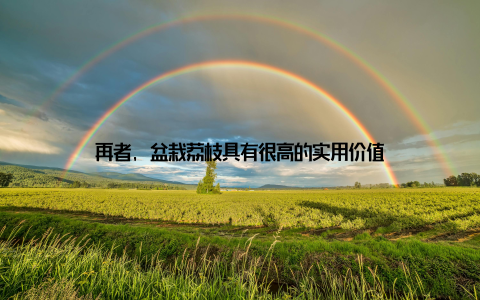 再者, 盆栽荔枝具有很高的实用价值