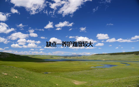 缺点一养护难度较大