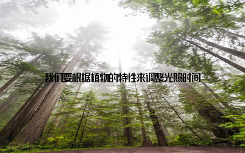 我们要根据植物的特性来调整光照时间