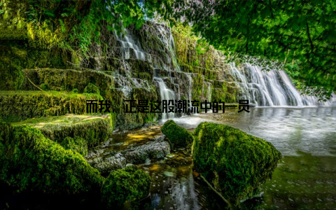 而我, 正是这股潮流中的一员