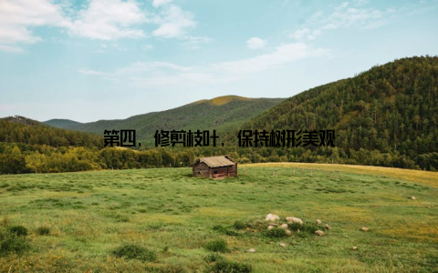 第四, 修剪枝叶, 保持树形美观