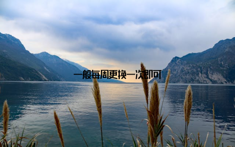 一般每周更换一次即可