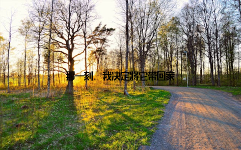 那一刻, 我决定将它带回家