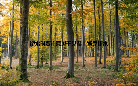 浇水时要注意见干见湿, 避免积水