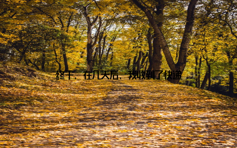 终于, 在几天后, 我收到了快递