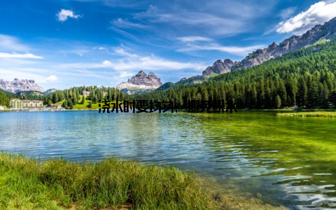 浇水时要均匀, 避免积水