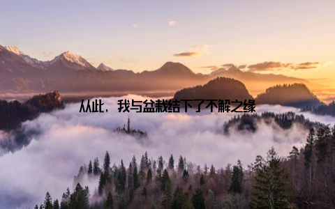 从此, 我与盆栽结下了不解之缘
