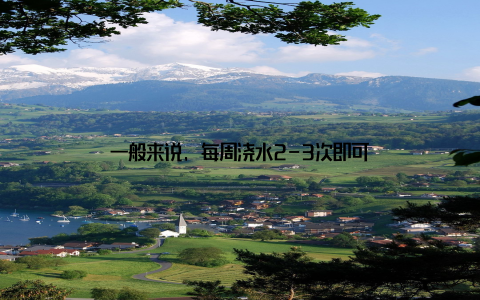 一般来说, 每周浇水2-3次即可