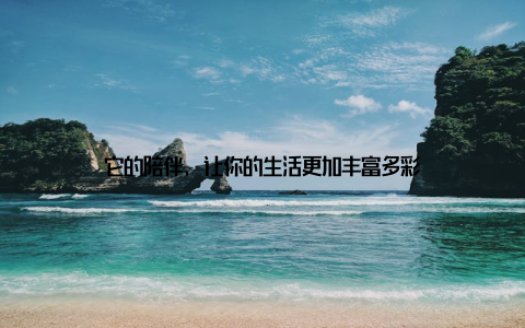 它的陪伴, 让你的生活更加丰富多彩