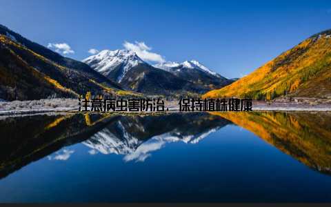 注意病虫害防治, 保持植株健康