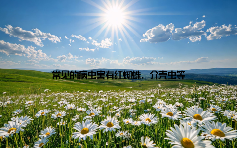 常见的病虫害有红蜘蛛、介壳虫等