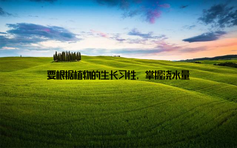 要根据植物的生长习性, 掌握浇水量