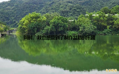 同时, 我也感受到了制作盆栽的乐趣