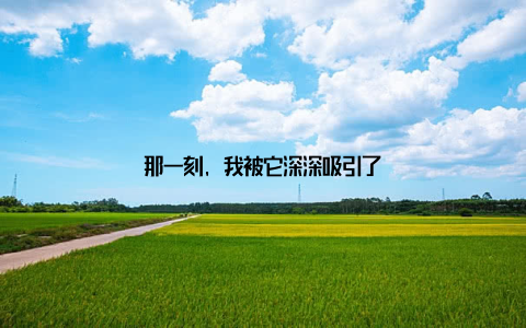 那一刻, 我被它深深吸引了