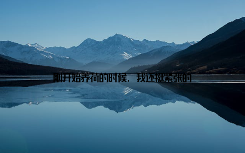 刚开始养荷的时候, 我还挺紧张的