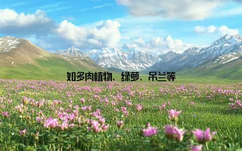 如多肉植物、绿萝、吊兰等