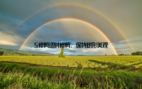 5修剪适时修剪, 保持树形美观