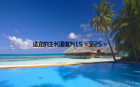 适宜的生长温度为15℃至25℃