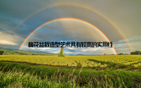 梅花盆栽造型艺术具有较高的实用性
