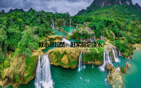 我心急如焚, 赶紧给它浇水