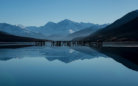 这样, 木槿才能长得更加茂盛
