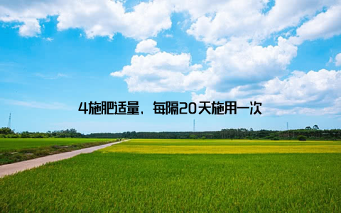 4施肥适量, 每隔20天施用一次