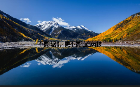 不要慌张, 更不要随意剪枝