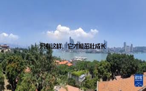 只有这样, 它才能茁壮成长