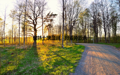 保持土壤湿润, 但避免积水