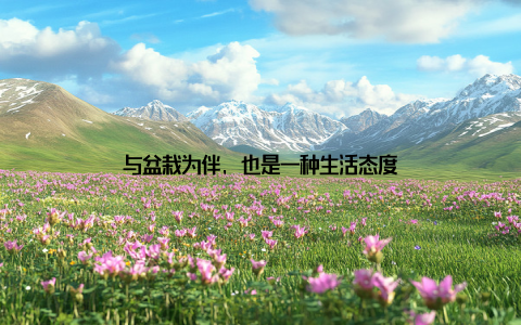 与盆栽为伴, 也是一种生活态度