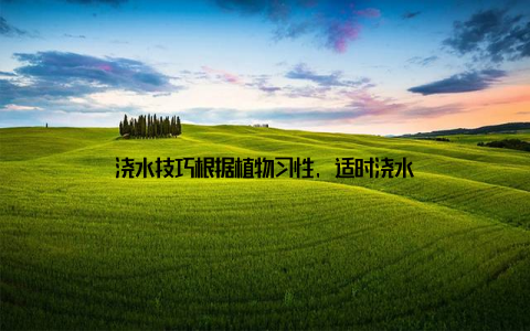 浇水技巧根据植物习性, 适时浇水