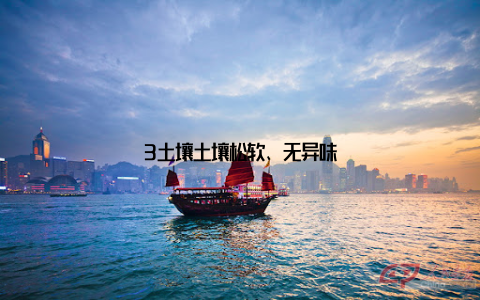 3土壤土壤松软、无异味