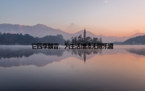 它四季飘香, 为生活增添无限乐趣