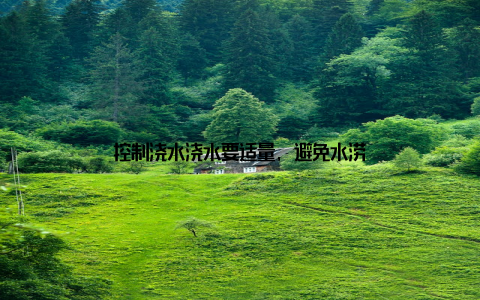 控制浇水浇水要适量, 避免水涝