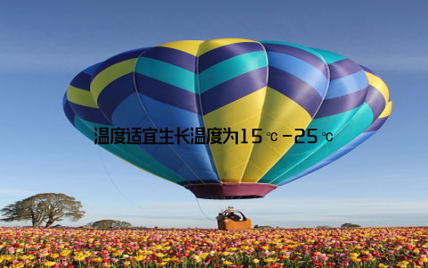 温度适宜生长温度为15℃-25℃